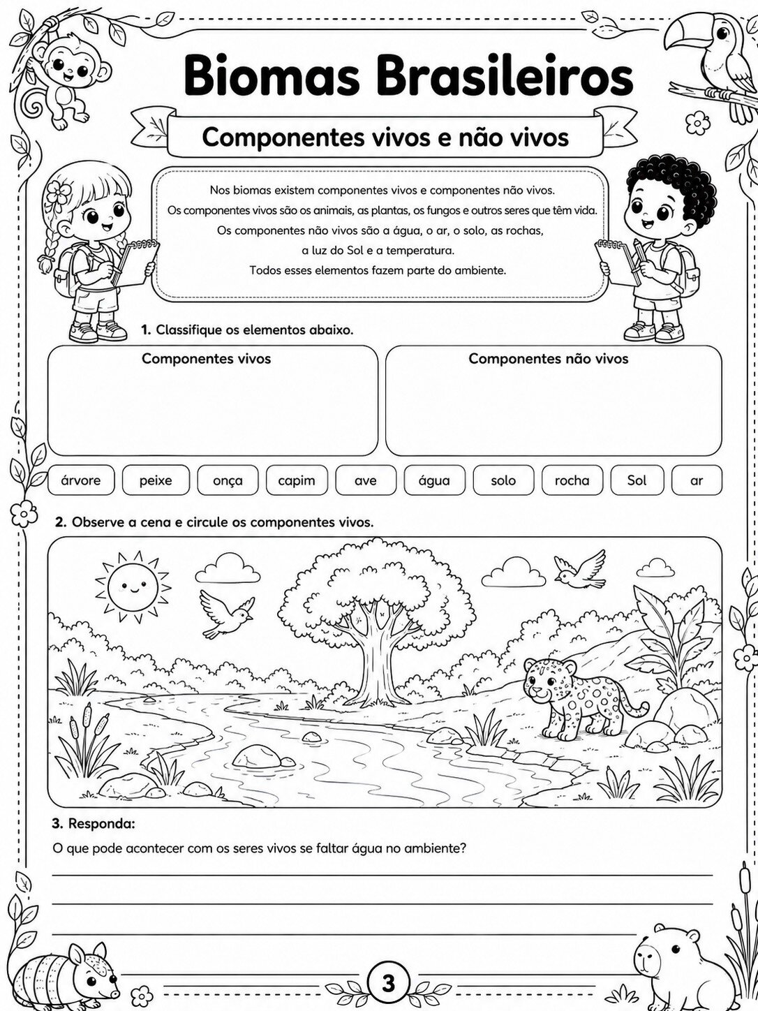 Biomas Brasileiros 3