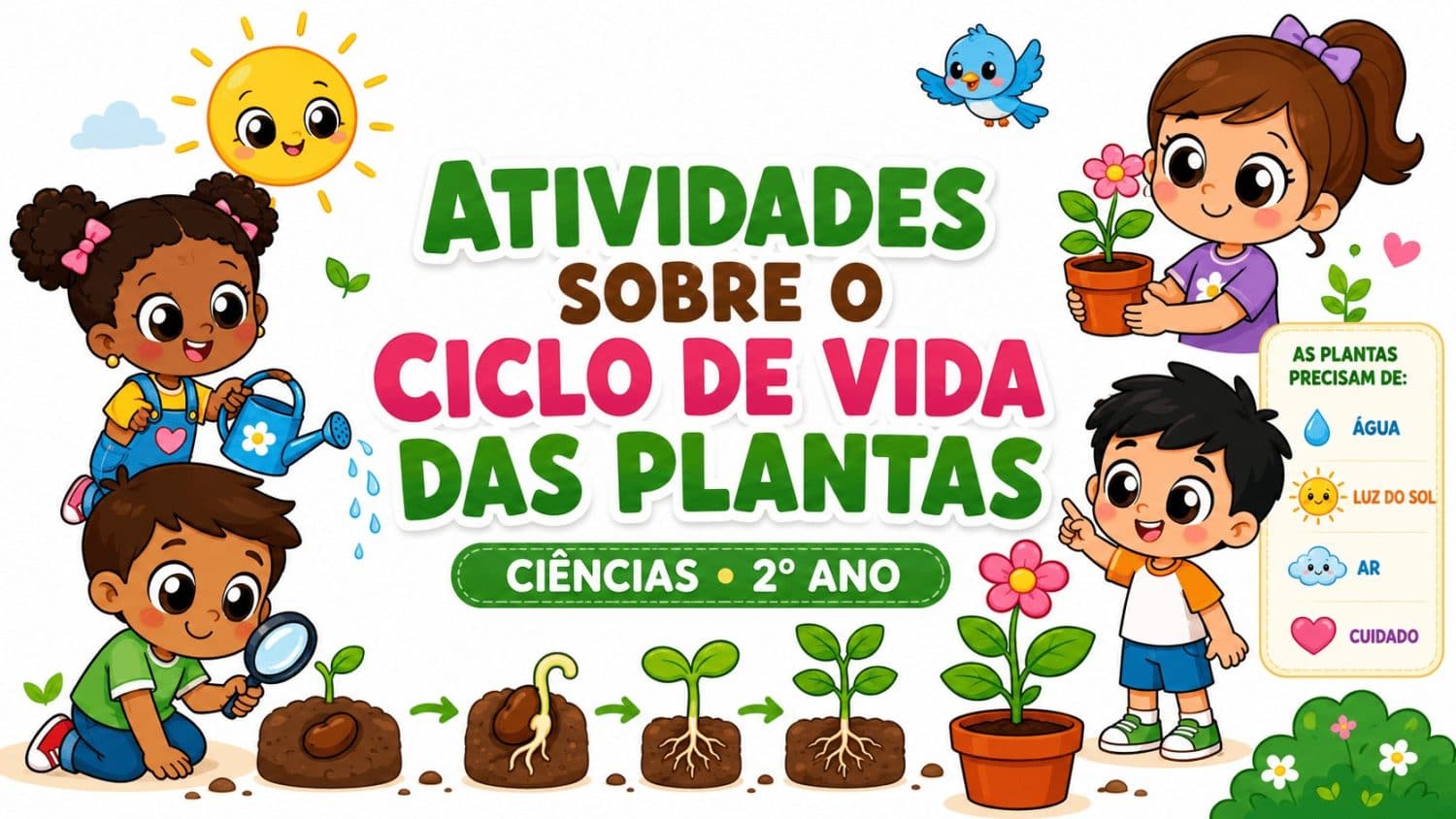 O ciclo de vida das plantas 2° ano