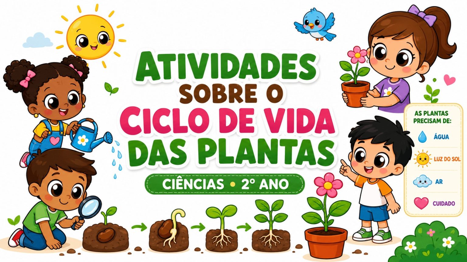 Ciclo de vida das plantas