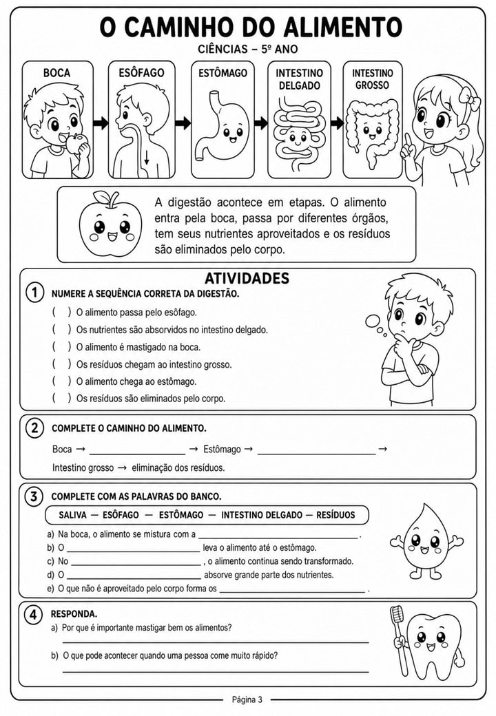Sistema Digestorio 5 ano 3