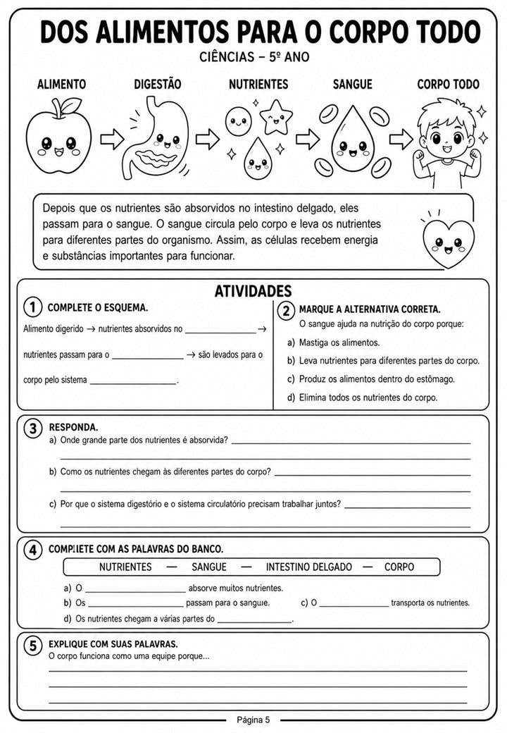 Sistema Digestorio 5 ano 5